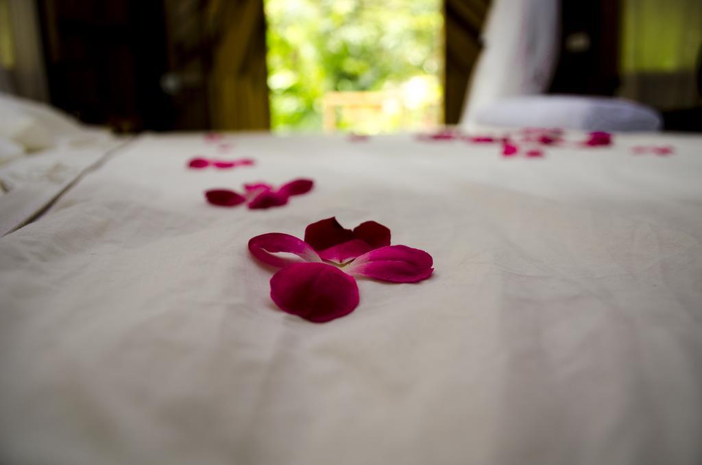 Tayrona Paradise Villa El Zaino Ngoại thất bức ảnh