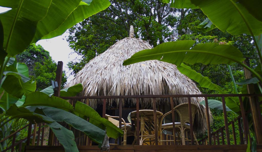 Tayrona Paradise Villa El Zaino Ngoại thất bức ảnh