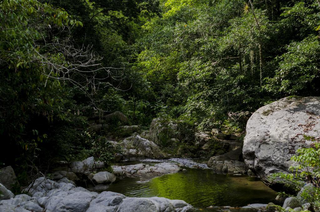Tayrona Paradise Villa El Zaino Ngoại thất bức ảnh