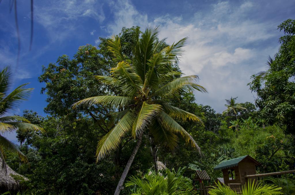 Tayrona Paradise Villa El Zaino Ngoại thất bức ảnh