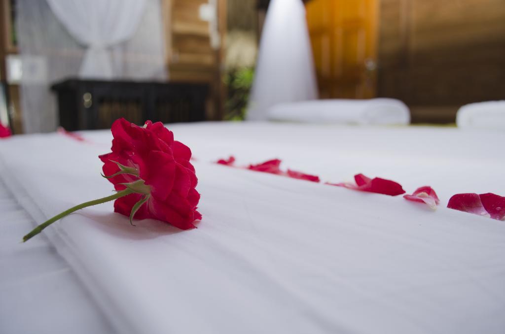 Tayrona Paradise Villa El Zaino Ngoại thất bức ảnh